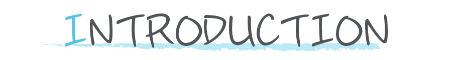 INTRODUCTION